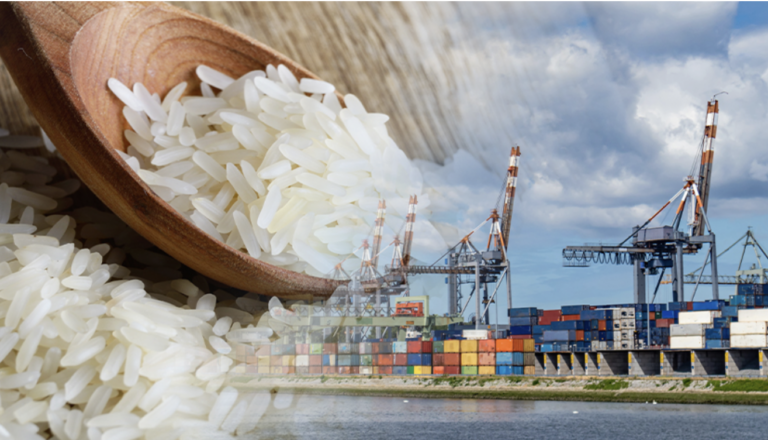 Thailands annual rice exports are expected to hit a new high of 9 million tons(图1)