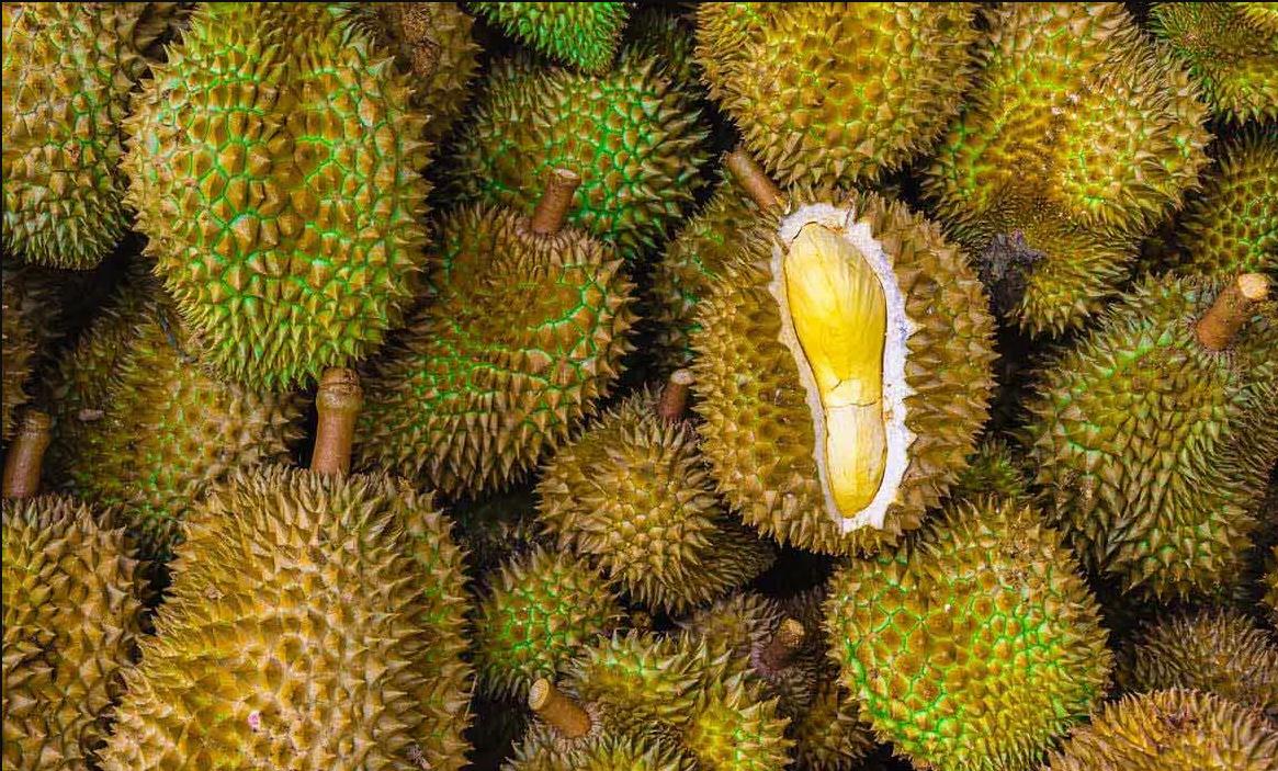 Thai durian faces price war in China(图1)